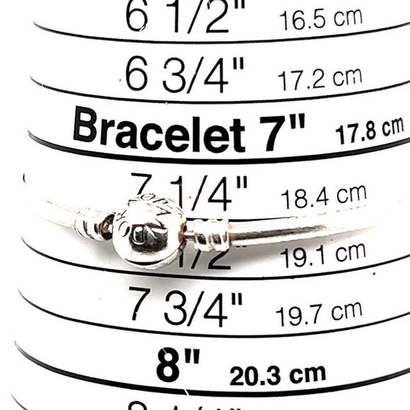 Pandora Round Clasp Bangle (7.25) - Picture 2 of 4